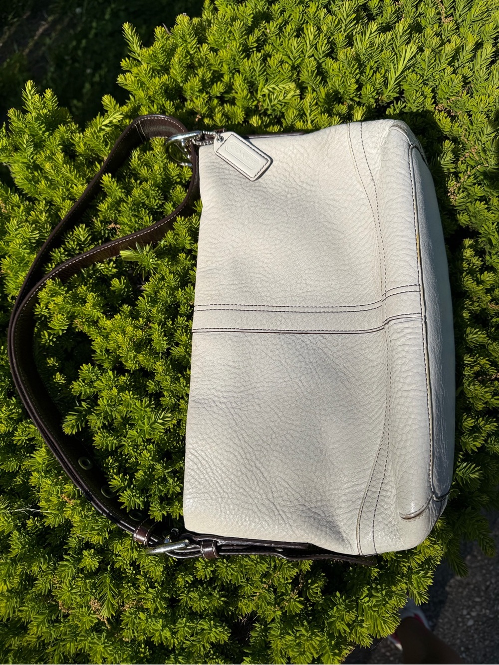 Coach Pebbled Leather Hobo in Off-White with Dark Brown Strap